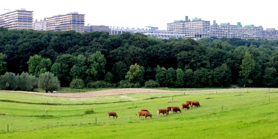 Umzug Bochum